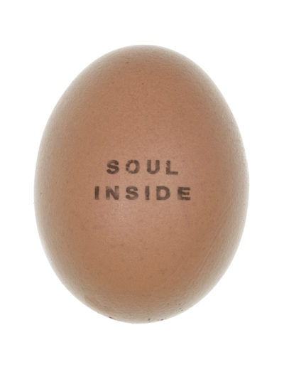 soul inside